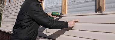 Best Vinyl Siding Installation  in USA